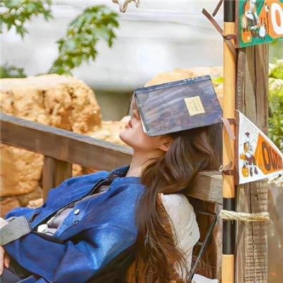 空中浩劫第十季